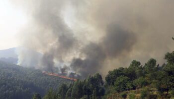 Portugal : les incendies enfin maîtrisés, avec pour bilan cinq morts et 100 000 hectares partis en fumée