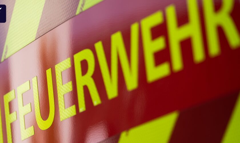 Riesige Rauchwolke: Großbrand in Lagerhalle in Offenbach