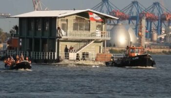 Haustransfer auf Elbe: Nanu, was schwimmt denn hier?