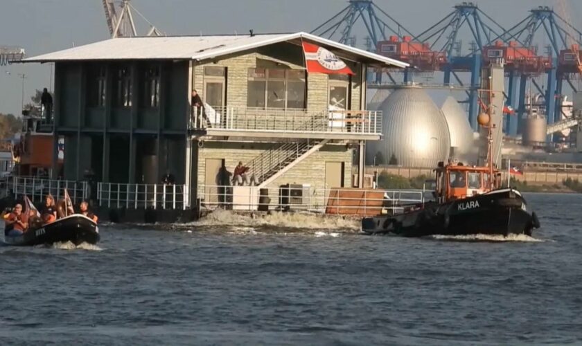 Haustransfer auf Elbe: Nanu, was schwimmt denn hier?