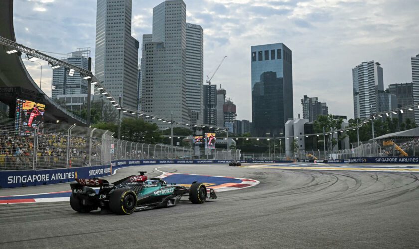 Grand Prix de F1 de Singapour : les essais libres interrompus à cause... d’un varan