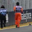 Formula 1 practice race suspended after large lizard invades the track ahead of Singapore Grand Prix