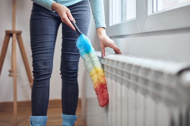 Brits mortified after discovering how much dust gathers in radiators - and it's costing you money