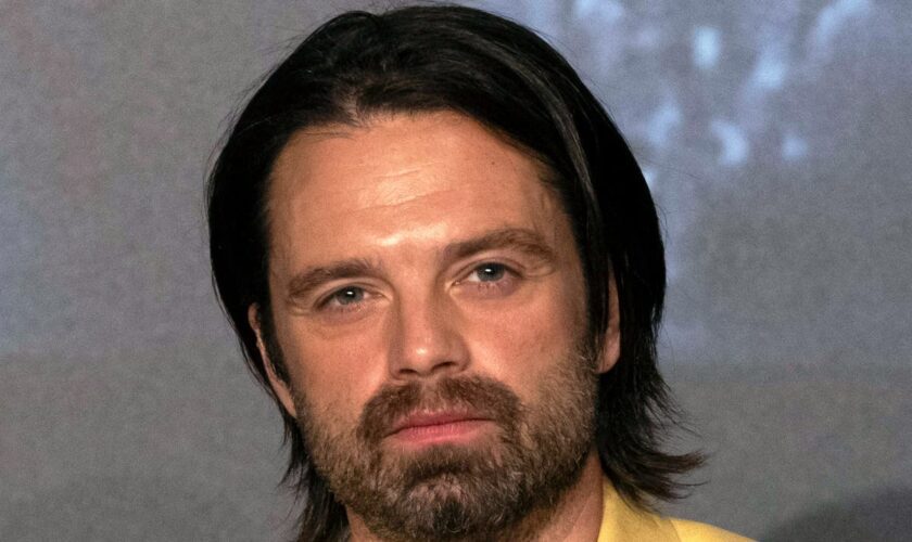 Sebastian Stan hits out at Marvel critics: ‘It’s become convenient to pick on the MCU’