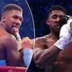 New footage shows Anthony Joshua appearing to taunt a fan just SECONDS before he was knocked out by Daniel Dubois - but his trainer reveals reason behind the gesture