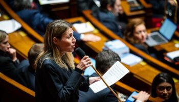 Le ministère du Travail revient à Astrid Panosyan-Bouvet, très critique envers la réforme de l’assurance chômage