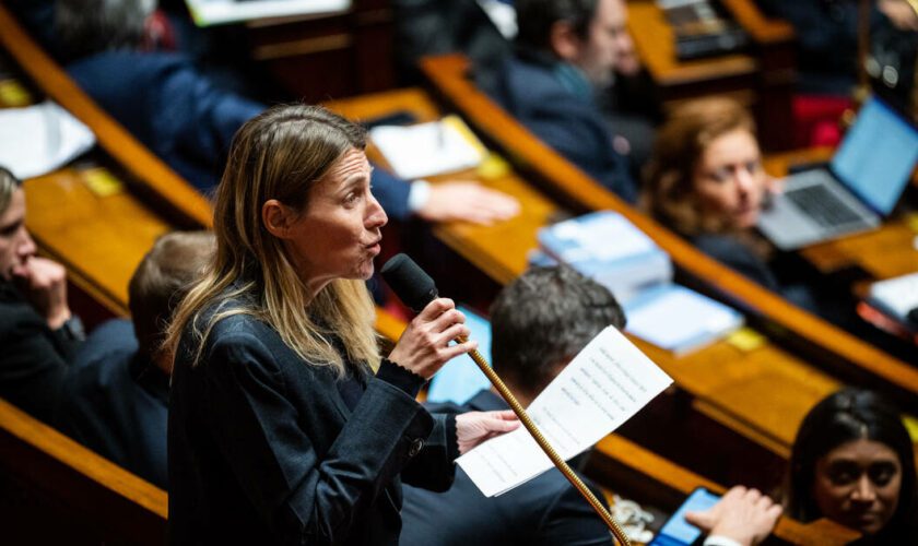 Le ministère du Travail revient à Astrid Panosyan-Bouvet, très critique envers la réforme de l’assurance chômage