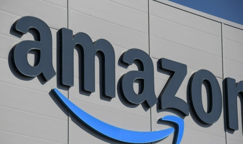 Le géant américain de la vente en ligne Amazon compte plus de 181 millions d'utilisateurs réguliers dans l'Union européenne, dont près de 35 millions en France