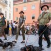 Dackelparade in Regensburg: 1175 Tiere stellen Rekord auf