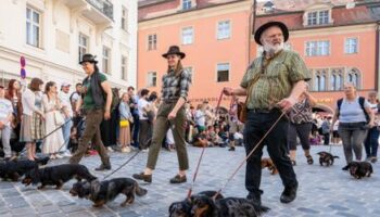 Dackelparade in Regensburg: 1175 Tiere stellen Rekord auf