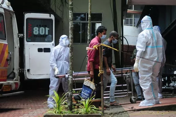 Nipah virus: 'Brain swelling' bat pathogen claims second life with schools in shutdown