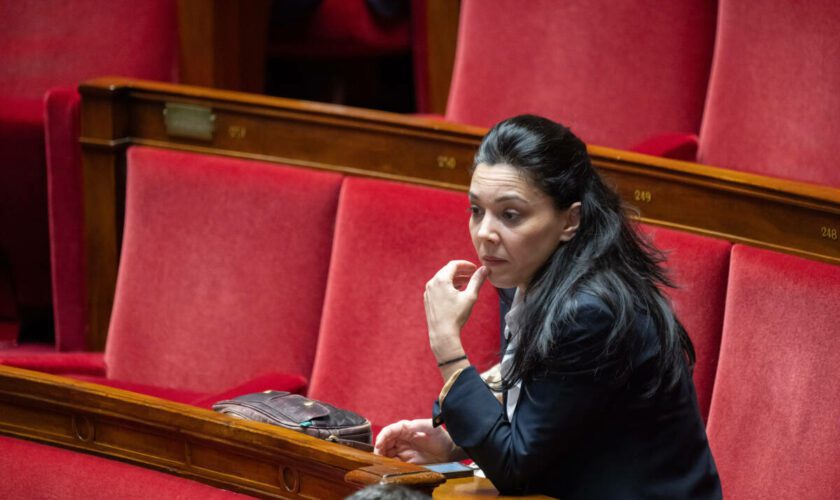 Comptes de campagne LFI 2017 : la députée Sophia Chikirou mise en examen pour escroquerie aggravée