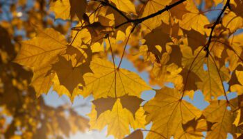 La météo d'octobre et novembre se précise : des détails sur les températures et la pluie