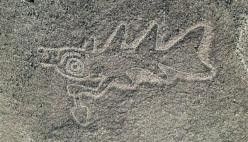 Plus de 300 nouveaux géoglyphes découverts à Nazca