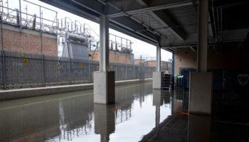 Newcastle pledge £15,000 to help AFC Wimbledon after ‘sinkhole’ pitch