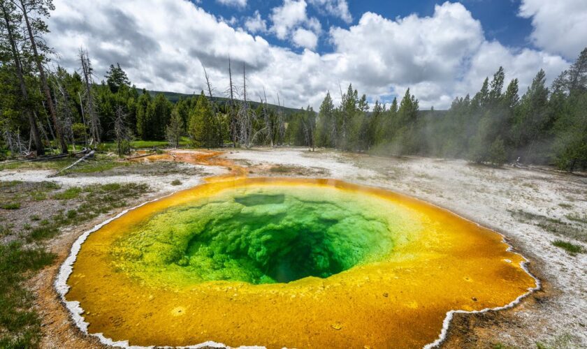 Yellowstone tourists accused of ruining Morning Glory’s crystal blue color with ‘thousands’ of coins