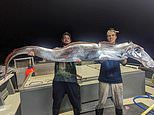 Aussie blokes score catch of a lifetime after reeling in incredibly rare fish