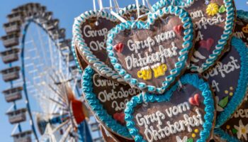 Bier, Schweinshaxe & Co.: Wiesn-Wahnsinn: So teuer ist der diesjährige Oktoberfestbesuch