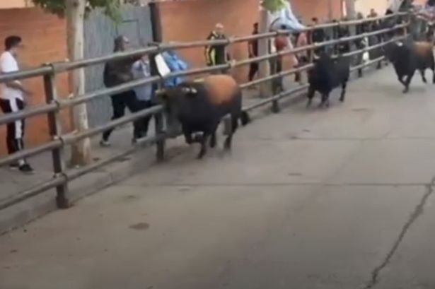 Horrifying moment rampaging bull gores man to death and injures girl, 3, and grandparents