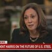 Kamala Harris is stumped by question about crucial part of her economic policy during MSNBC interview