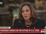 Kamala Harris is stumped by question about crucial part of her economic policy during MSNBC interview