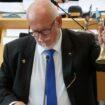 Landtag in Erfurt: Thüringer Demokratwurst