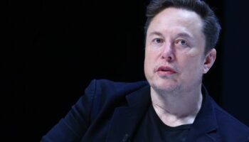 Elon Musk: Tesla-Chef will sich mit Krankenstand im Werk Grünheide befassen