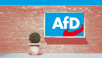 Kooperation mit der AfD: Die Brandmauer – bald nur noch eine Ruine?