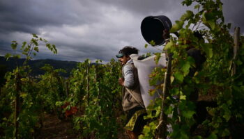 Agriculture : «Le réchauffement climatique demande aux exploitants de s’adapter à des conditions très différentes d’une année sur l’autre»