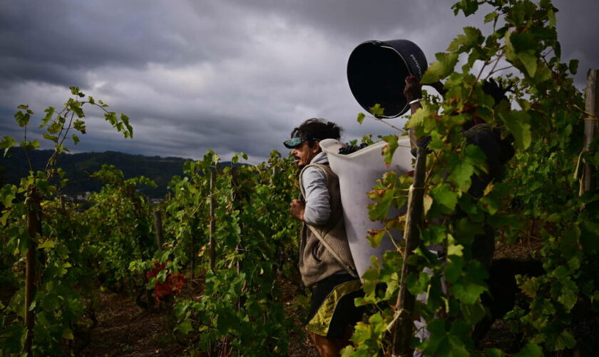 Agriculture : «Le réchauffement climatique demande aux exploitants de s’adapter à des conditions très différentes d’une année sur l’autre»