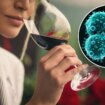 Drinking alcohol is linked to six types of cancer, experts say: ‘It’s toxic’