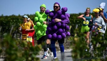 Mon Marathon du Médoc, la course que seuls les Français pouvaient inventer