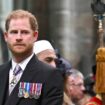 Prince Harry's aide accidentally called him 'mate' - and he had surprise three-word reaction