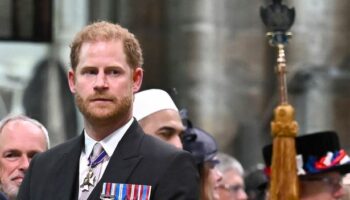 Prince Harry's aide accidentally called him 'mate' - and he had surprise three-word reaction