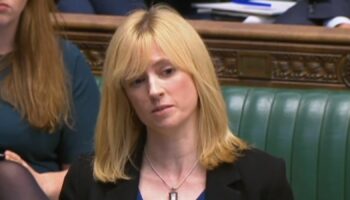 Rosie Duffield in the Commons. Pic: PA