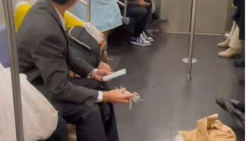 Chaos on subway train as live crabs escape woman’s bag