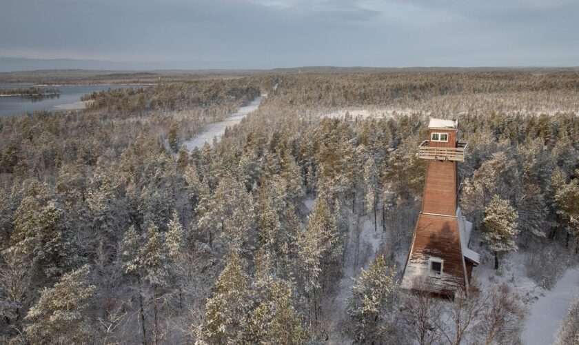 Ukrainekrieg: Norwegen erwägt Errichtung eines Zauns an Grenze zu Russland