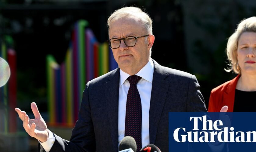 Albanese says ‘wait and see’ on double dissolution election as he hits out at Greens and Coalition over key bills