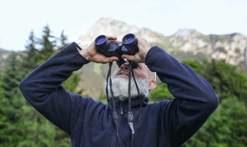 « Aller par-delà tous ces clivages » : quand bénévoles du WWF et éleveurs guettent les loups en Haute-Savoie