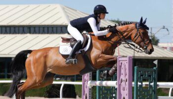 Arranca la Ruta de Otoño de Saltos del Club Pineda de Sevilla con el CSN4*