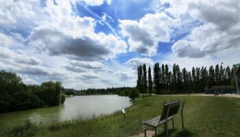 Aulnay-sous-Bois : des membres humains avec une chaussette découverts dans le parc du Sausset