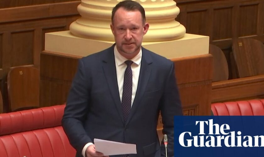 Bill proposing South Australians seeking later abortions give birth tantamount to ‘forced birth’, Greens say