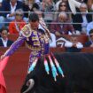 Botijero, un toro de Capea con más clase que la Universidad de Salamanca