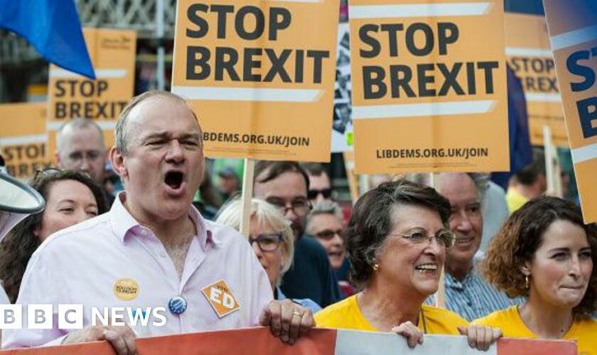 Brexit truce as pro-EU Lib Dems focus on long game