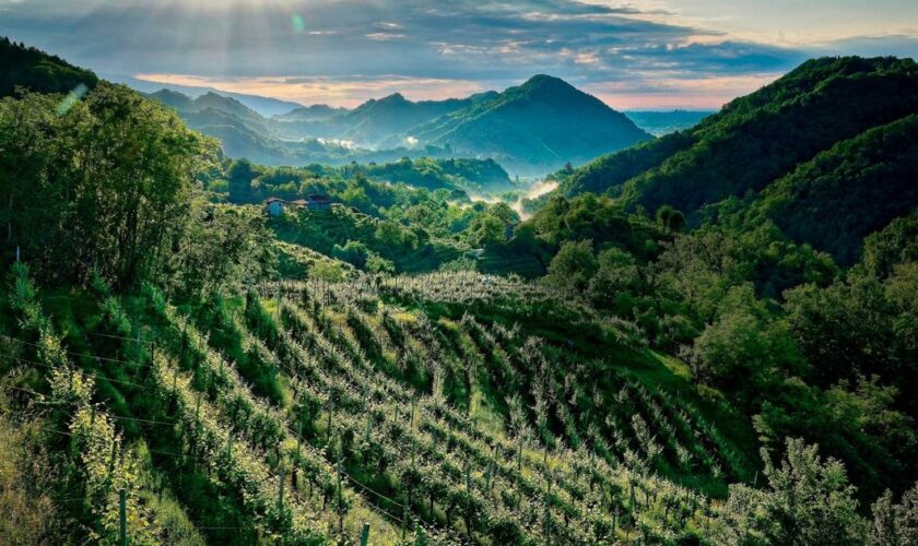 Carnet de voyage sur la route du prosecco : des paysages uniques au monde