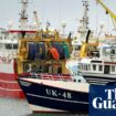 EU failing to enforce illegal fishing rules, say campaigners