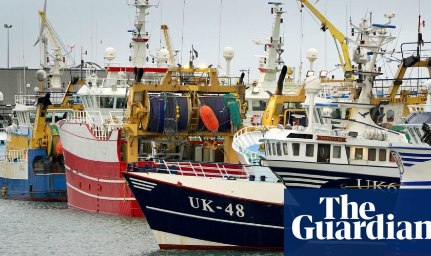 EU failing to enforce illegal fishing rules, say campaigners