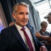 Far-right AfD: 'We have a clear mandate to govern'