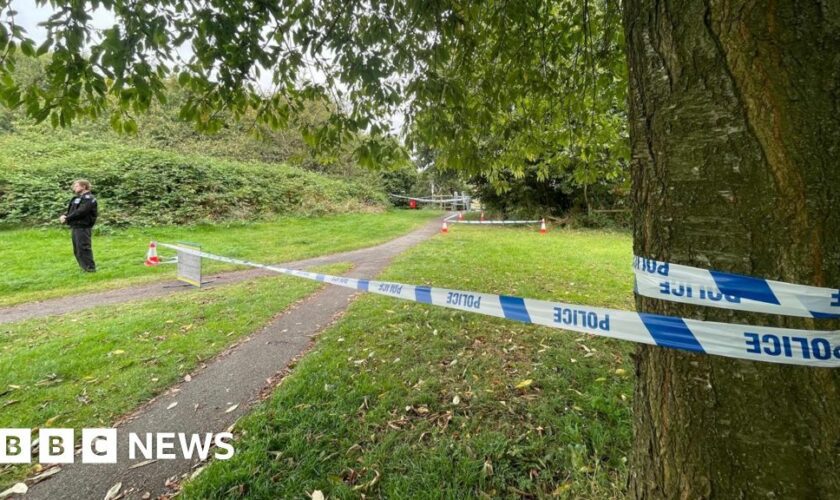 Five children held over fatal attack on dog walker, 80