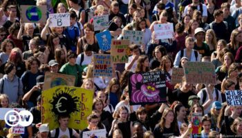 Fridays for Future protests draw 75,000 in Germany